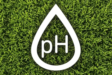 PH-Wert Symbol auf grünem Rasen